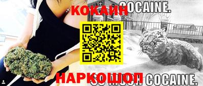 стафф Лесосибирск